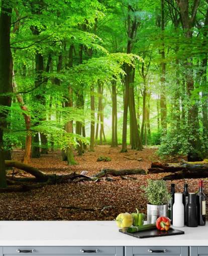 grön och brun anpassningsbar skogstapetväggmålning kallad Magical Forest för sovrum och badrum