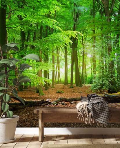 mural de papel pintado de bosque personalizable en verde y marrón llamado Bosque Mágico para dormitorios y baños mural de papel pintado de bosque personalizable en verde y marrón llamado Bosque Mágico para dormitorios y baños