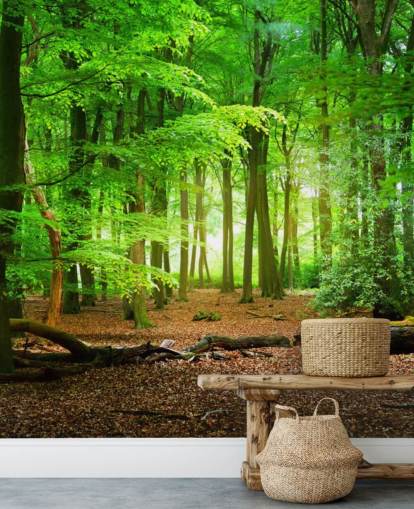 carta da parati murale personalizzabile verde e marrone chiamata Magical Forest per camere da letto e bagni