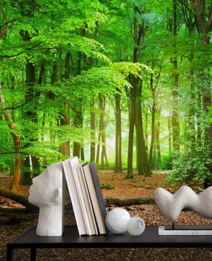 carta da parati murale personalizzabile verde e marrone chiamata Magical Forest per camere da letto e bagni