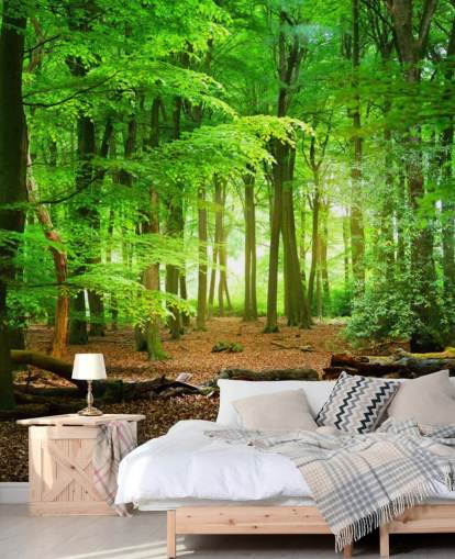 carta da parati murale personalizzabile verde e marrone chiamata Magical Forest per camere da letto e bagni