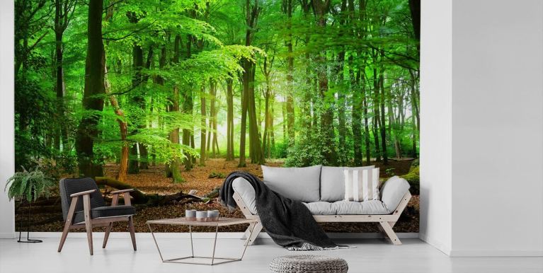Buy Watercolor Forest Wallpaper for Kids Woodland Animal Online in India   Etsy