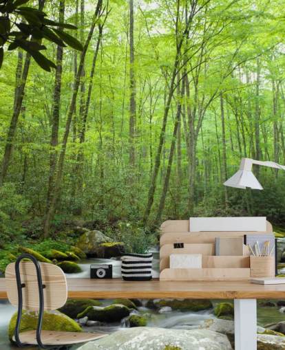 Jungle Theme Wallpaper