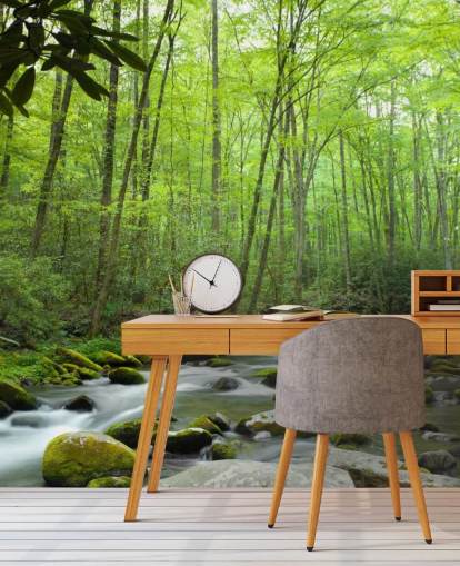 Jungle Theme Wallpaper