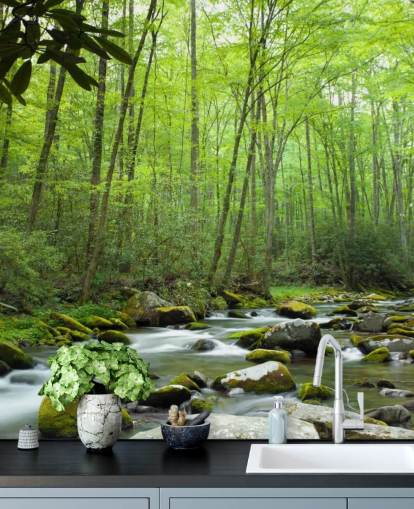 Fondo de pantalla con tema de selva