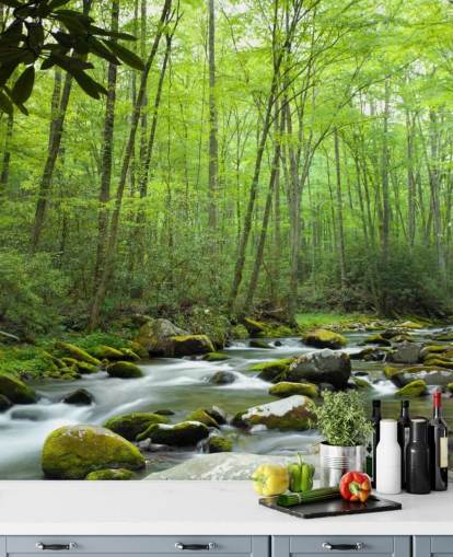 Fondo de pantalla con tema de selva