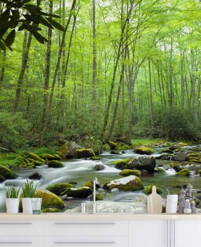 Fondo de pantalla con tema de selva Fondo de pantalla con tema de selva