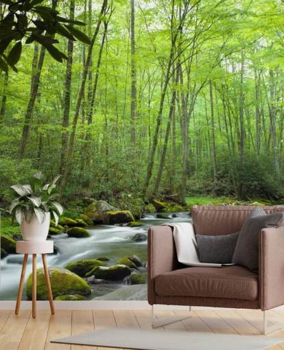 Hintergrundbild mit Dschungel-Thema