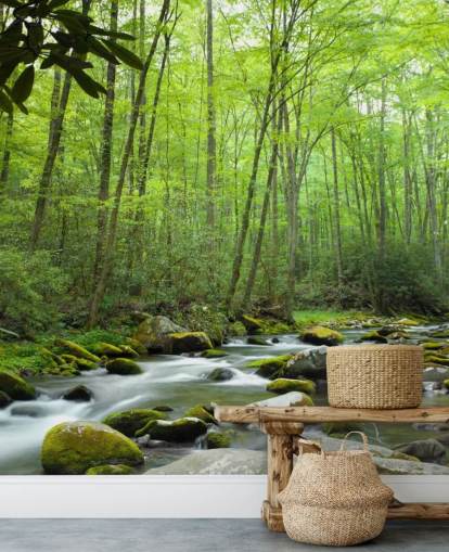 Fondo de pantalla con tema de selva