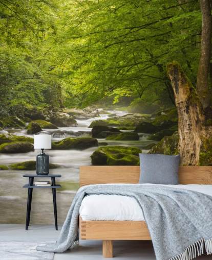 grøn og grå flodskov tapet vægmaleri kaldet Great Smoky Mountains Tremont River