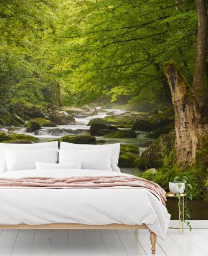 green and gray river forest wallpaper mural called Great Smoky Mountains Tremont River