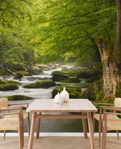 carta da parati murale verde e grigia con foresta fluviale chiamata Great Smoky Mountains Tremont River carta da parati murale verde e grigia con foresta fluviale chiamata Great Smoky Mountains Tremont River