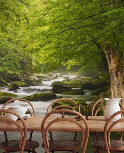 grøn og grå flodskov tapet vægmaleri kaldet Great Smoky Mountains Tremont River
