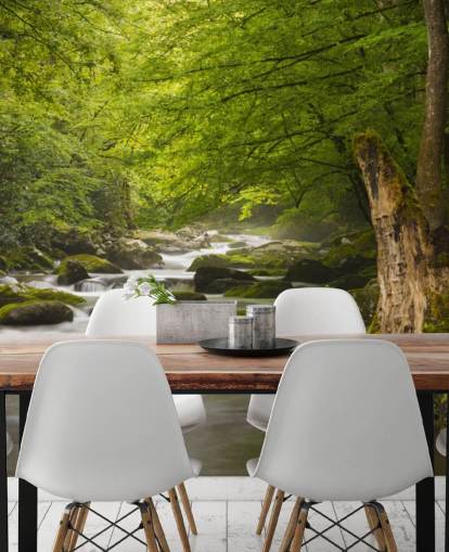 mural de papel de parede de floresta fluvial verde e cinza chamado Great Smoky Mountains Tremont River