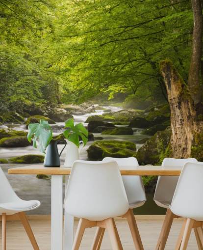 green and grey river forest wallpaper mural called Great Smoky Mountains Tremont River