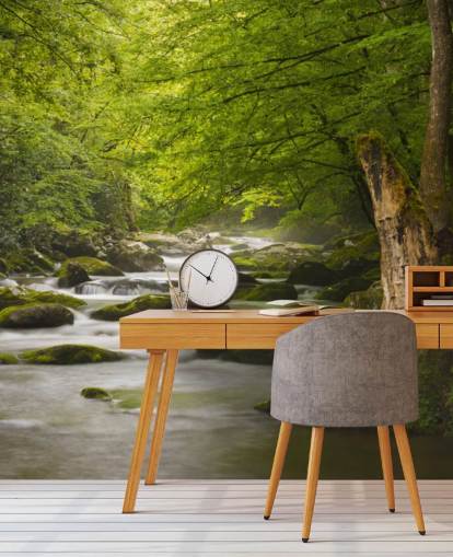mural de papel pintado de bosque de río verde y gris llamado Great Smoky Mountains Tremont River