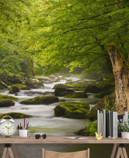 mural de papel pintado de bosque de río verde y gris llamado Great Smoky Mountains Tremont River