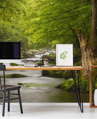 green and gray river forest wallpaper mural called Great Smoky Mountains Tremont River green and gray river forest wallpaper mural called Great Smoky Mountains Tremont River