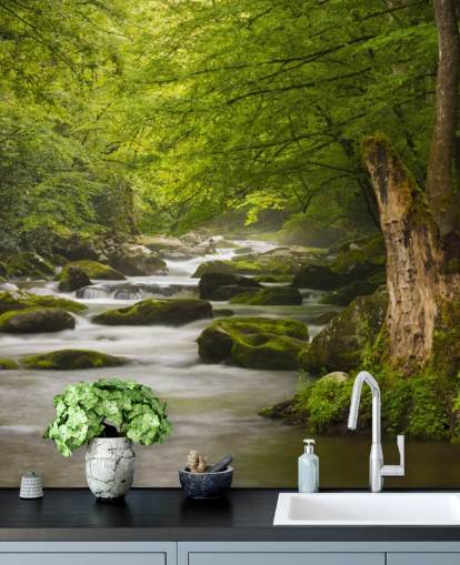 mural de papel de parede de floresta fluvial verde e cinza chamado Great Smoky Mountains Tremont River