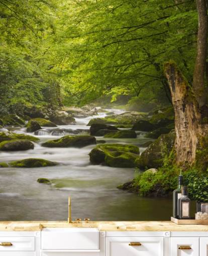 green and gray river forest wallpaper mural called Great Smoky Mountains Tremont River