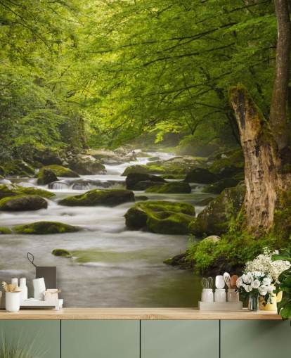mural de papel de parede de floresta fluvial verde e cinza chamado Great Smoky Mountains Tremont River