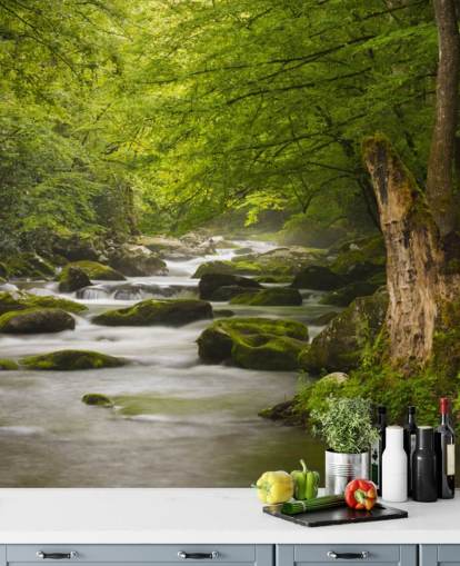 groene en grijze muurschildering op het rivierbos genaamd Great Smoky Mountains Tremont River