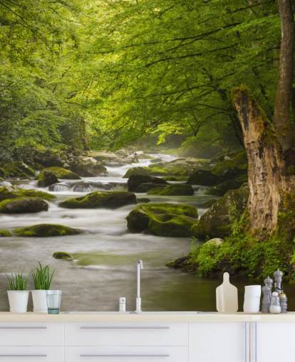 green and grey river forest wallpaper mural called Great Smoky Mountains Tremont River