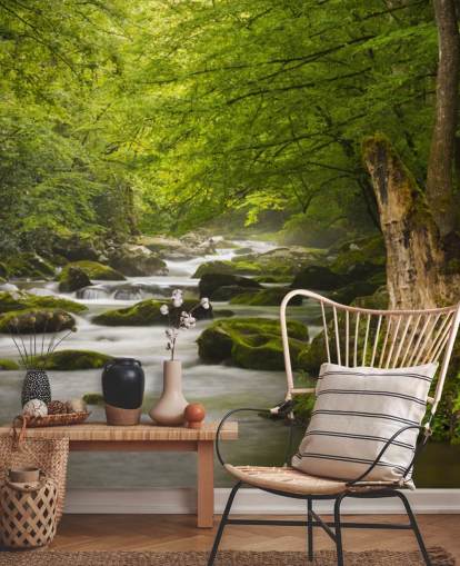 mural de papel de parede de floresta fluvial verde e cinza chamado Great Smoky Mountains Tremont River