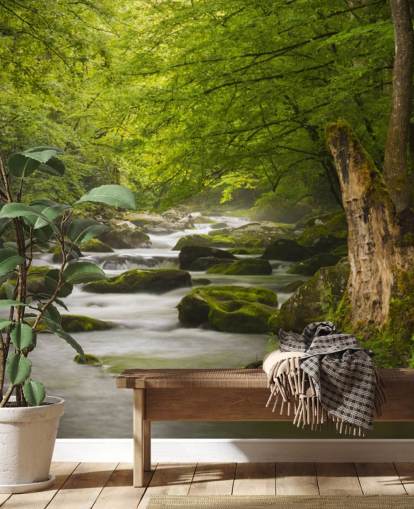 green and gray river forest wallpaper mural called Great Smoky Mountains Tremont River green and gray river forest wallpaper mural called Great Smoky Mountains Tremont River
