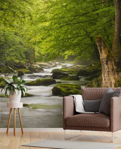 green and grey river forest wallpaper mural called Great Smoky Mountains Tremont River