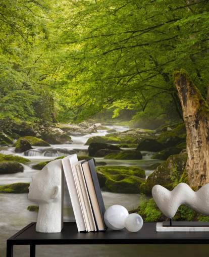 mural de papel de parede de floresta fluvial verde e cinza chamado Great Smoky Mountains Tremont River