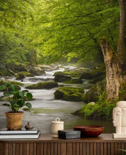 groene en grijze muurschildering op het rivierbos genaamd Great Smoky Mountains Tremont River