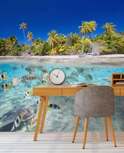 Mural de pared Peces tropicales junto a la costa Mural de pared Peces tropicales junto a la costa