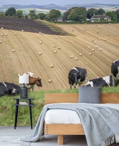 Fondo de pantalla de granjas y vacas