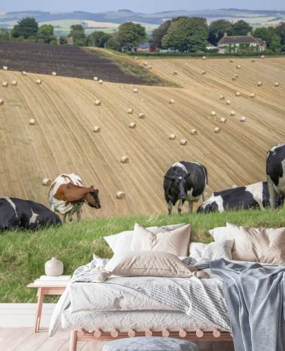 Farm und Kühe Wallpaper