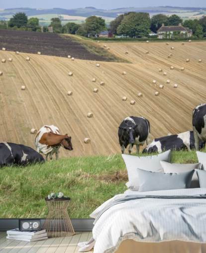 Papier Peint Ferme et Vaches Papier Peint Ferme et Vaches