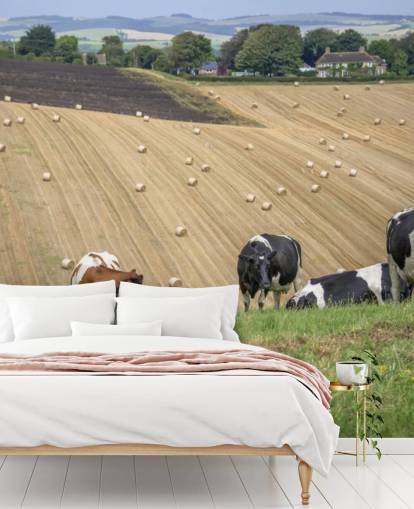 Fondo de pantalla de granjas y vacas