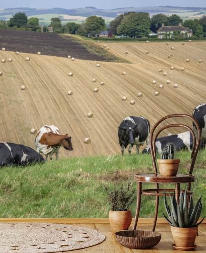 Boerderij en koeien behang