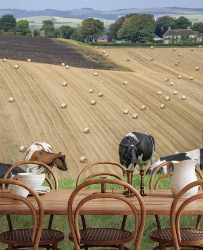 Fondo de pantalla de granjas y vacas