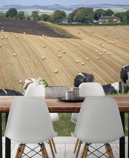 Farm and Cows Wallpaper Farm and Cows Wallpaper