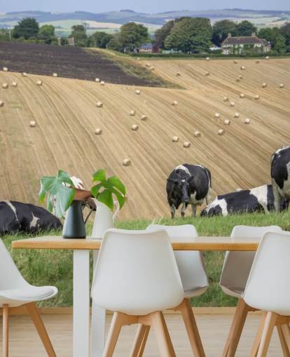 Fondo de pantalla de granjas y vacas