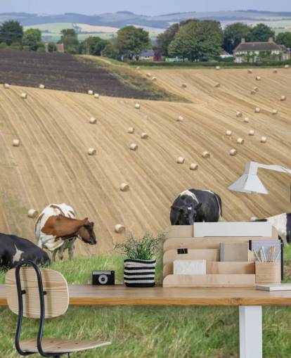 Boerderij en koeien behang