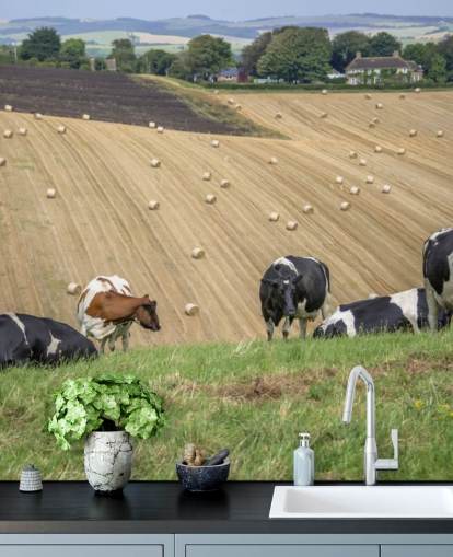 Papel de parede de fazenda e vacas