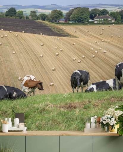 Gård og kyr Bakgrunn