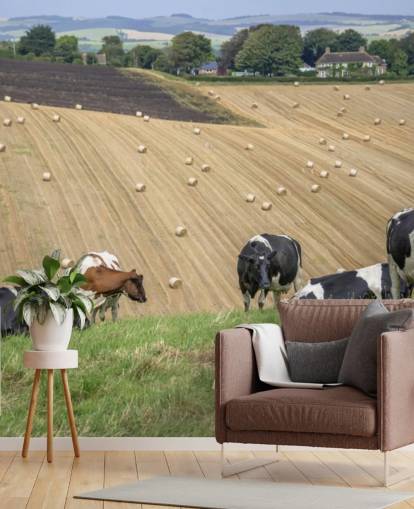 Farm and Cows Wallpaper