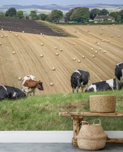 Papier Peint Ferme et Vaches