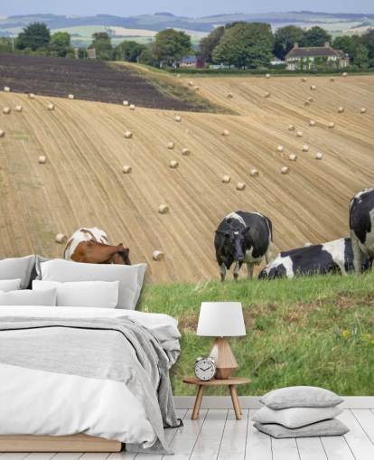 Farm and Cows Wallpaper