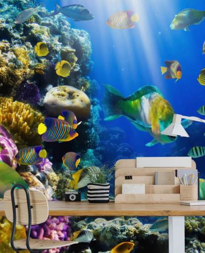Korallen und Fische Wallpaper
