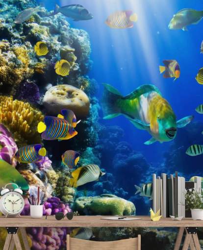 Papel de Parede Coral e Peixe Papel de Parede Coral e Peixe