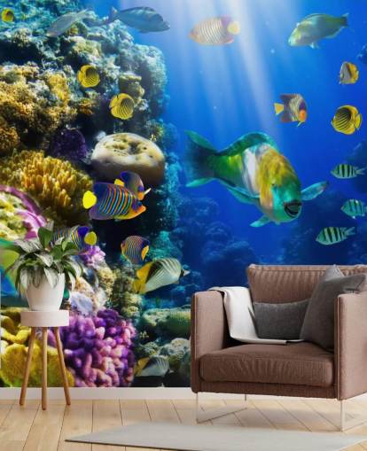 Carta da parati corallo e pesce Carta da parati corallo e pesce